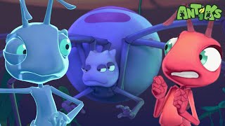 Vanishing Act | 😄🐜| Antiks Adventures - Joey and Boo's Playtime by Antiks Adventures - Joey and Boo's Playtime 15,363 views 9 days ago 1 hour, 35 minutes