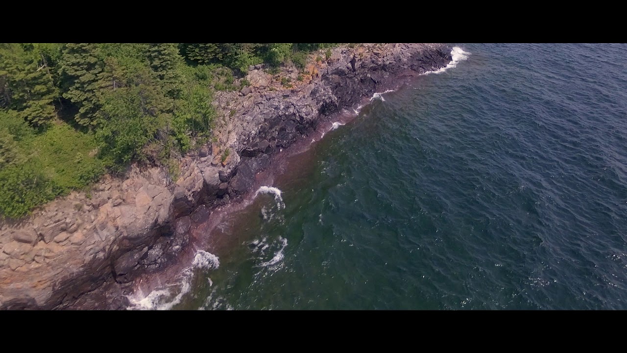 Garlic Brown Beats - North Shore