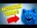 Настоящий Голос Котёнка Лайка 😨 | Roblox