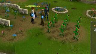 Pirates Treasure - Runescape QG (Part 3)