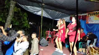 Download Lagu Goyang damai bersama teh ibewkekey dan Novi MP3