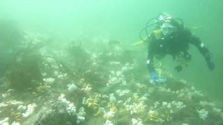 20100605_143839(002).m2ts