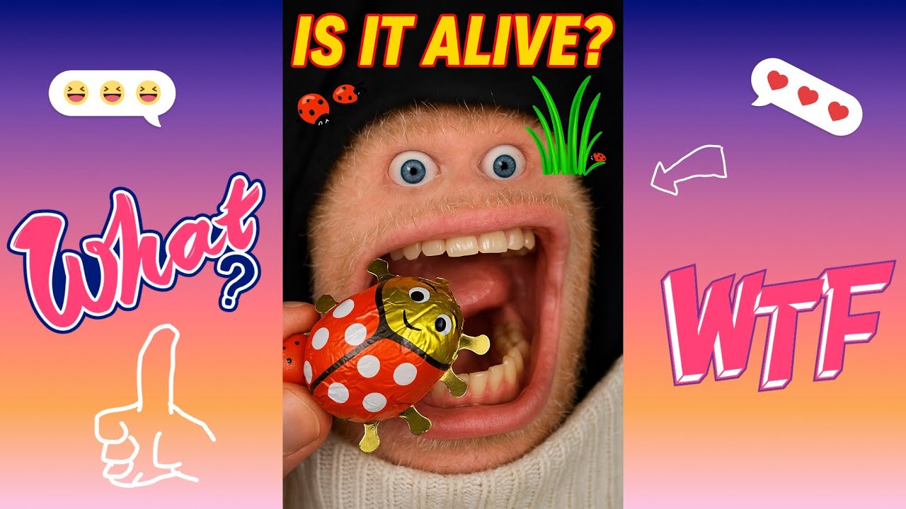 Get Ready to Laugh! 😂 Mr Am's Best Funny Videos 🍕🍟 - YouTube