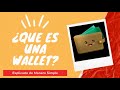 🎓👛 Qué es una WALLET Criptomonedas 📒 BITCOIN 📑 Diccionario de Criptomonedas