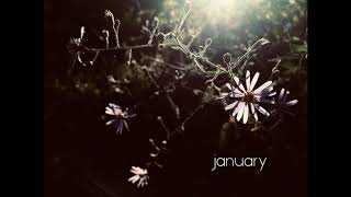January - Bethany Wakim