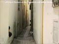 عيد الاضحى في صفاقس سنة 1967