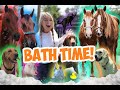 Giving ALL MY PETS A BATH in One Video!