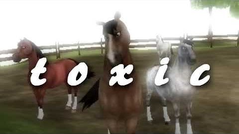 t o x i c (preveiw) [SSO]
