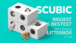 SCUBIC