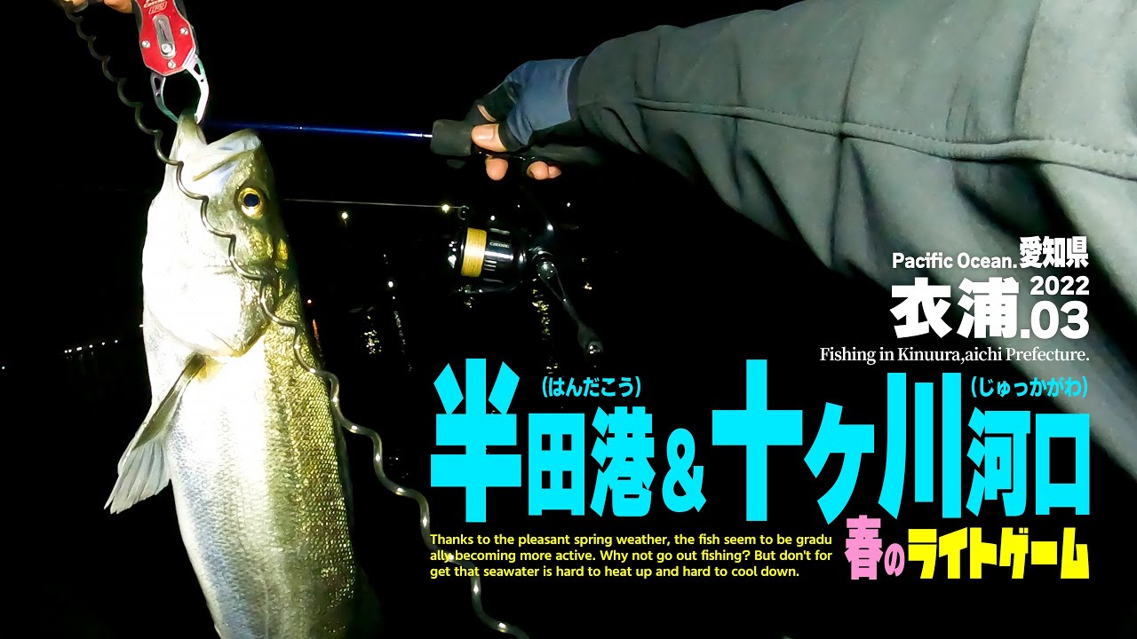【シーバス】愛知県衣浦を釣り歩く！半田港＆十ヶ川河口で春のライトゲーム釣行。