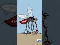 30-06-2026 DM Animated Cartoon