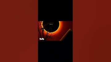 Murder drones test animation with cyn and Tessa. #animation #murderdrones #md