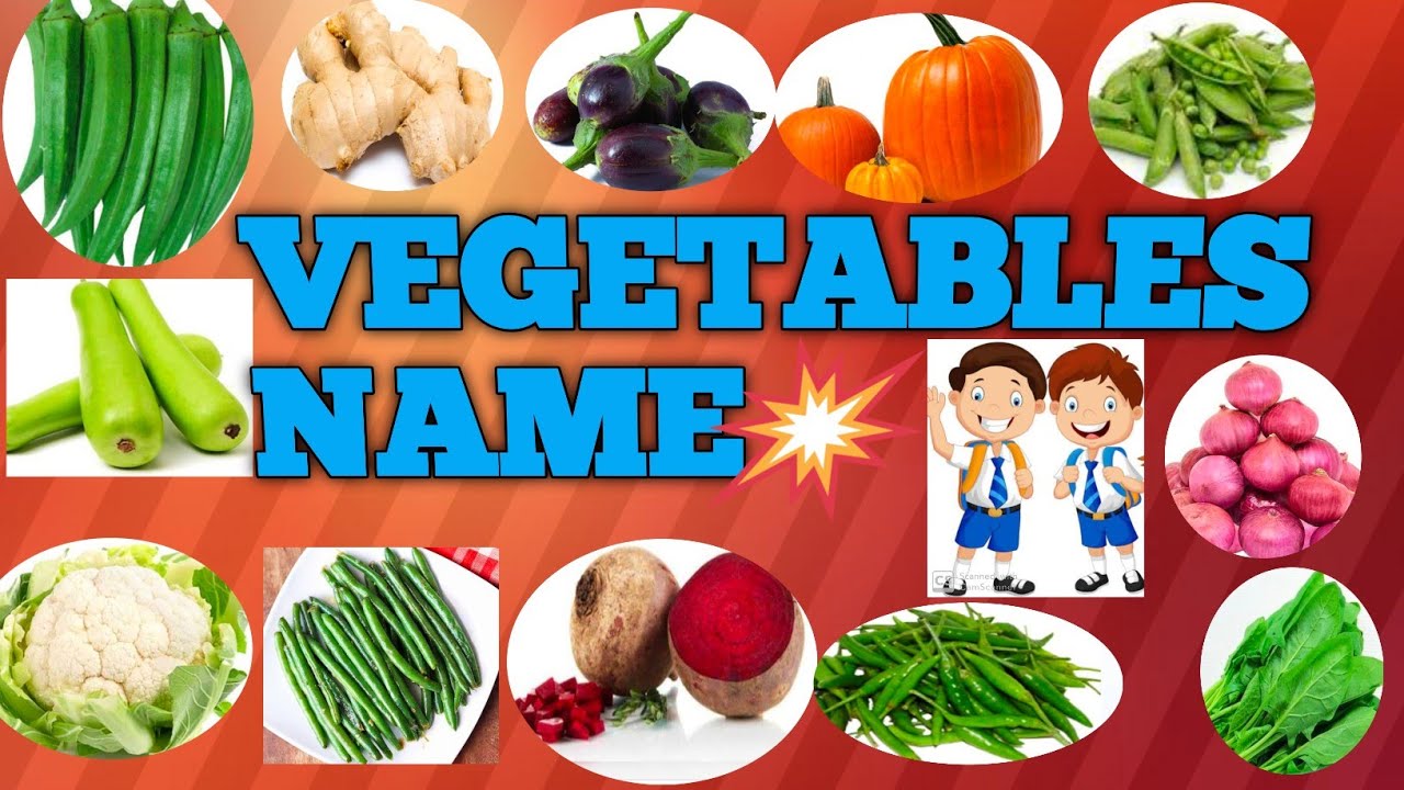 Vegetables name| Vegetables name in english| Aarambh for beginners