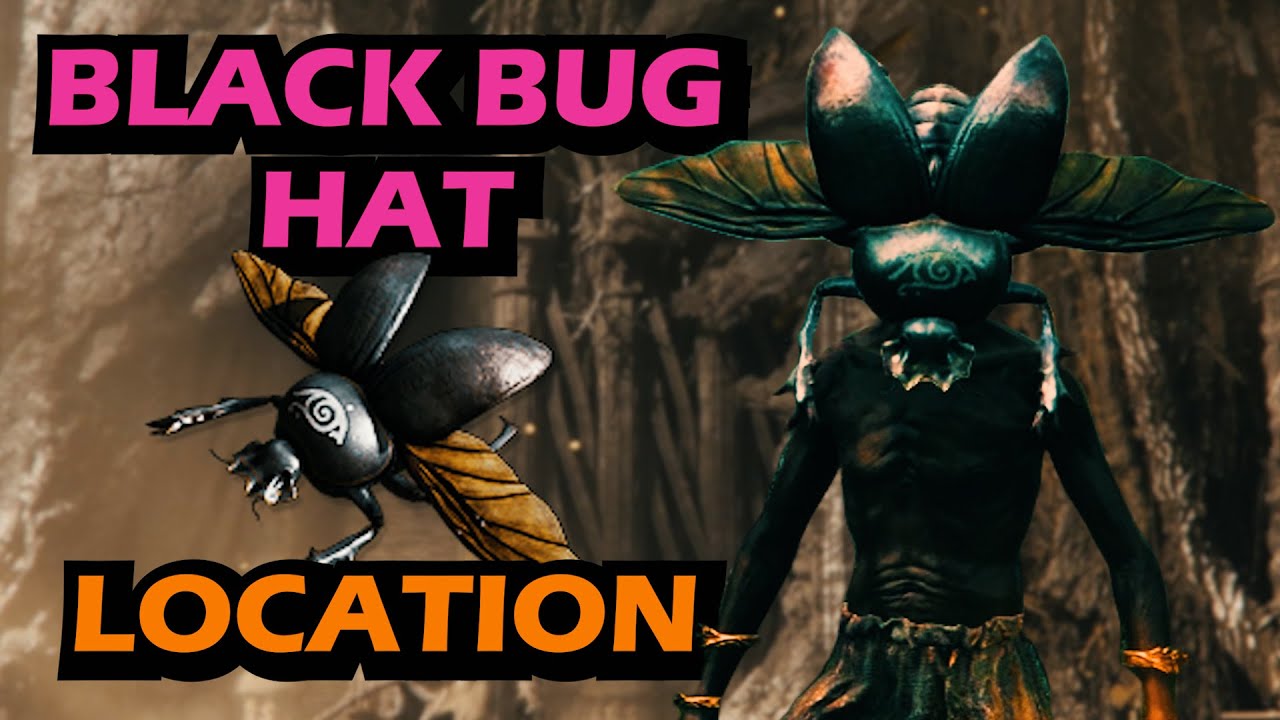 ASH OF WAR SCARAB LOCATION Elden Ring [EASY] YouTube