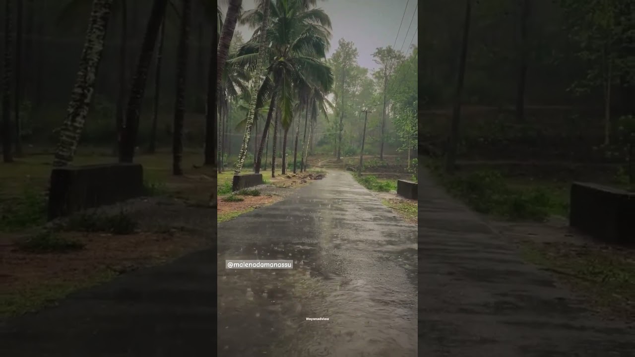 Karnataka mansoon || Mansoon beauty || Nature || rainy season || Travel Karnataka 