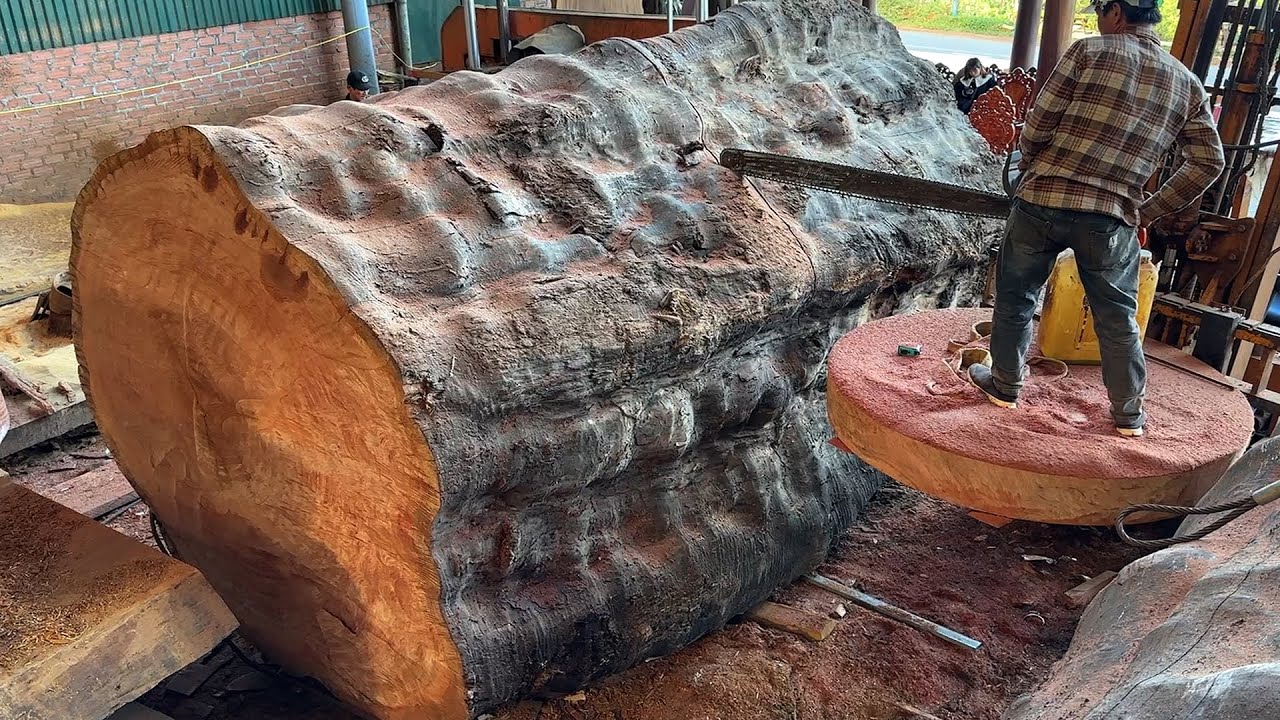 Sawing, Cutting The Most Unique Giant Tree Stump // Wood Cutting Skills ...