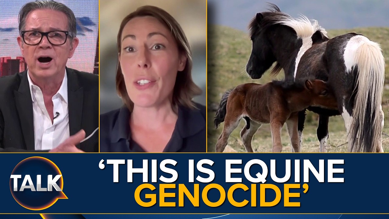 "MASS MURDER Of Horses For Eco Zealots" | Dartmoor Ponies Face Cull