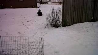 Bobsled Run1-24-10_2.avi