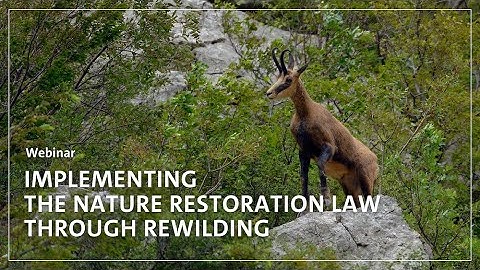 Implementing the Nature Restoration Law through rewilding
