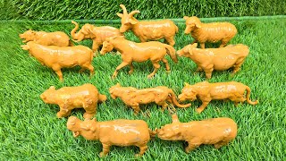 A Happy Animal Mix: Farm Animals and Zoo Animals Unite Kids Adventure screenshot 3