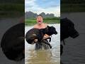 Turning a Teddy Bear Into a Pet With a Shocking Ending#survivalskills #lifehacks#dog