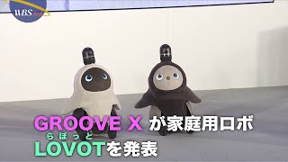 なでると甘える家庭用ロボ「LOVOT」【パラビジネス 2分で経済を面白く】
