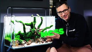Download Lagu Membuat Aquascape Akar yang Ditutupi Lumut di Akuarium 60P MP3
