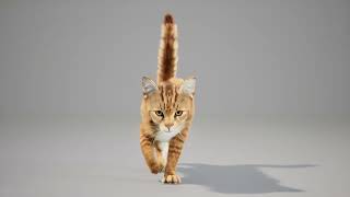 Orange grey Tabby cat test - Unreal Engine
