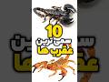 10 سمی ترین عقرب های جهان Shorts 