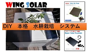 1時間で完成 本格 ミニトマト 水耕栽培システム　 ソーラー &ウォーター　ポンプ使用  by WING SOLAR #水耕栽培　#トマト