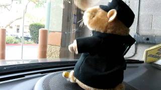 Hamster doing cops bad boys theme