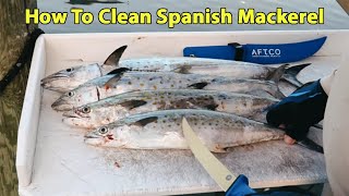 Fillet Spanish Mackerel Step By Step (And How To Get Rid Of The 