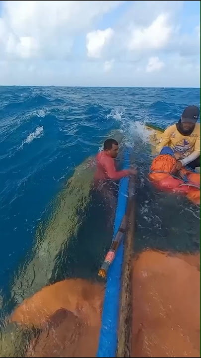 Ship Sinks Hit by Storm #short #seawaves #shipsinks #seastorm #shipwreck #sea