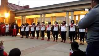 Spring 2014 New Member Show for Delta Sigma Theta Sorority, Inc. (Pi Mu) Net Worth