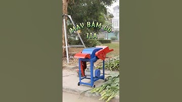 Bạn đang mất bao nhiêu thời gian mỗi ngày để băm cỏ cho vật nuôi | Máy băm cỏ 7TA