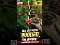 500 Saal Purana Mandir 😳 Jungle Se Nikal Kar Phir Se Zinda! #shorts #shortfeed #viral #viralvideo