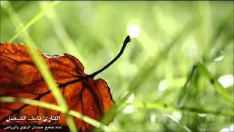 خشوع عجيب - للقارئ نايف الفيصل