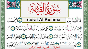 سورة القيامة شيرزاد عبد الرحمن طاهر Surah Al Keiama Sherzad Taher برواية حفص عن عاصم