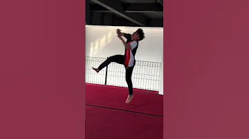 Wawan Saputra Taekwondo N Lion S Wawansaputra Taekwondo 