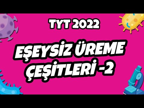 Eşeysiz Üreme ve Çeşitleri -2 | TYT Biyoloji 2022 #hedefekoş