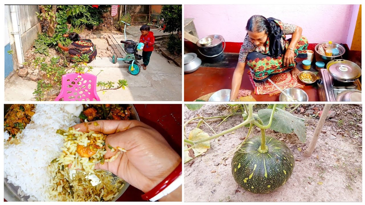 শাশুড়িমা নিজের হাতে ঘরের টাটকা সব্জি তুলে রান্না করে খাওয়ালো//বাড়িতে প্রথম দিন কেমন কাটল 