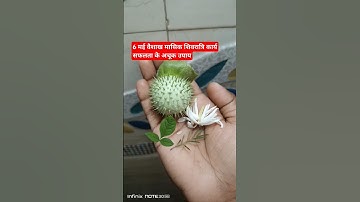 6 मई वैशाख मासिक शिवरात्रि कार्य सफलता के अचूक उपाय #shivratri#upay#shortsvideo#bhakti#gyan#