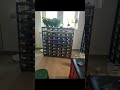 Welcome follow ForePythoncn! #40gallon #snakes #sale #snake #home #ballpythonsofinstagram #reptiles