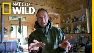 Talk Like a Beaver | Live Like an Animal