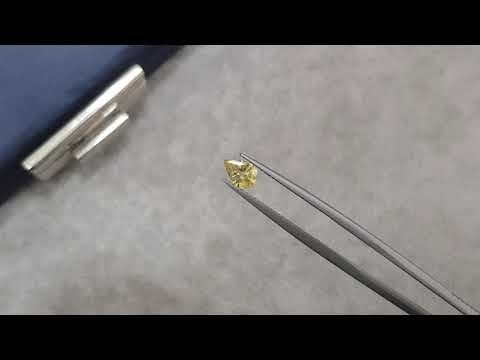 Unheated yellow pear-cut sapphire 0.60 carat, Madagascar Video  № 1