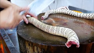 ये लोग कैसे खा लेते होंगे इनको How to eat such insects