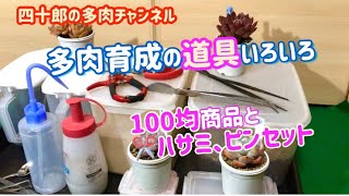 多肉植物 ガーデニング 多肉育成の道具 100均商品とハサミ ピンセットなど Youtube 多肉植物 ガーデニング 多肉育成の道具 100均商品とハサミ ピンセットなど Youtube