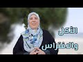 لماذا قال الله تعالى في سورة يوسف فأكله الذئب وما الفرق بين الأكل والافتراس لماذا قال الله تعالى في سورة يوسف فأكله الذئب وما الفرق بين الأكل والافتراس