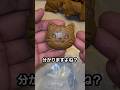 キャットフードのアレンジレシピ / Delicious Ways to Enjoy Cat Food