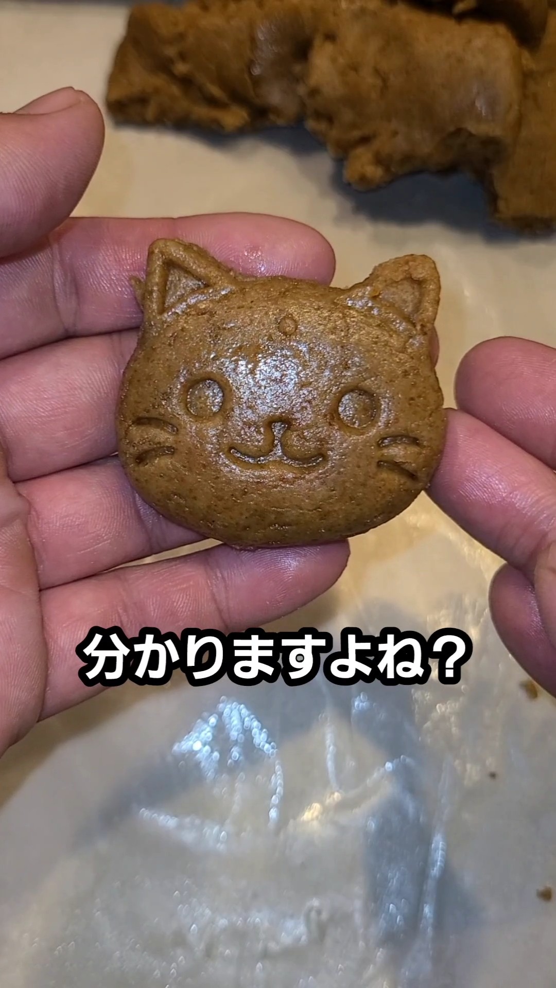 Delicious Ways to Enjoy Cat Food - YouTube